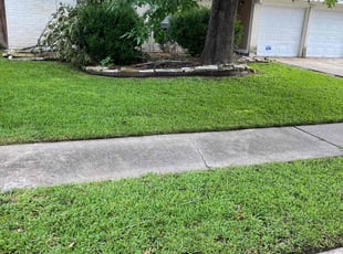 Kim I.'s Lawn Mowing Service service result