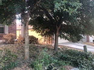 Cleanups by Flavio Mendoza for David S. in Buda, TX