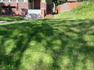 Cleanups by Frank Oliver for Karmalita W. in Minneapolis, MN