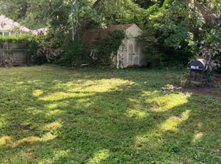 Bush Trimming by Brandon McDonald for Patti A. in Springfield, MO