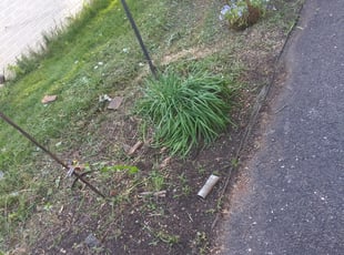 Weeding by Bobby Watt for Mary R. in Columbus, OH