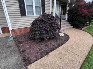 Weeding by Joshua West for Jeff R. in Mechanicsville, VA