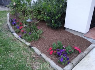 Mulching by Daniel Campos for Paul N. in Houston, TX