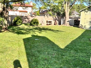 Antrena F.'s Lawn Care service result