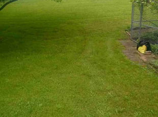 Jack B.'s Lawn Mowing service result