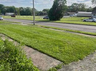 Elizabeth E.'s Lawn Service service result