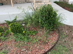 Bush Trimming by Austin Short for Xavier B. in Norman, OK