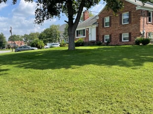 Richard L.'s Lawn Mowing Service service result