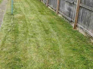 Cleanups by Matthew Semsey for Michael L. in Fountain Hill, PA