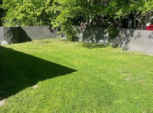 Jamie M.'s Lawn Care service result