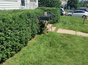 Bush Trimming by Angel Madera for Chris T. in New Britain, CT