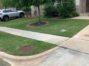 Gene G.'s Lawn Mowing service result