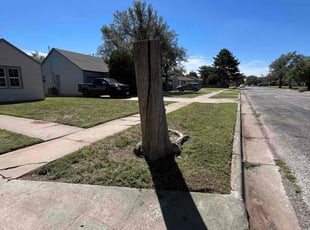 Jay A.'s Grass Cutting service result