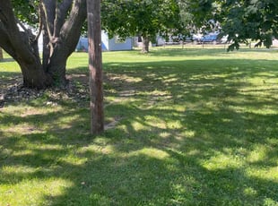 Cleanups by Zach Dangler for Devin D. in Holt, MI