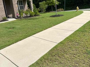 Anita K.'s Lawn Mowing Service service result