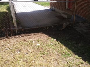 Cleanups by Bernard Frampton for Carlos G. in Baltimore, MD