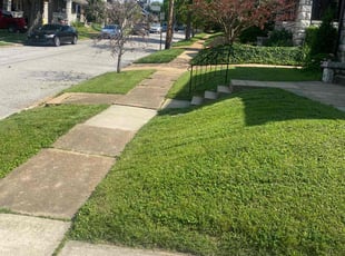 Alvin W.'s Yard Cutting service result