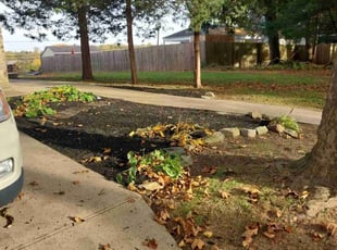 Weeding by Eileen Hirschman for Maisah L. in Elkins Park, PA