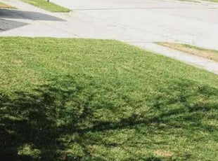 Christine H.'s Lawn Care service result