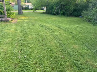 Paul F.'s Lawn Service service result
