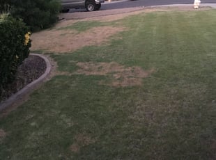 Cleanups by Jonathan Ashfield for Matt M. in Glendale, AZ