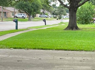 Dustin L.'s Lawn Service service result