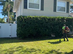 Bush Trimming by Warren Minns for Charles G. in Tampa, FL