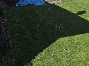 Tom O.'s Lawn Care service result