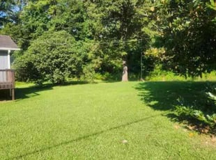 Starkema Y.'s Grass Cutting service result