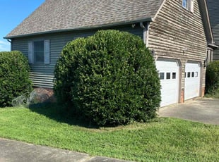 Bush Trimming by Walter Mandrick for Gail J. in Randleman, NC