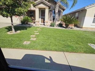 Lenisse L.'s Lawn Care service result