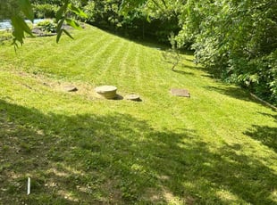Ann L.'s Lawn Mowing service result