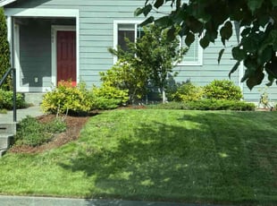 Sean W.'s Lawn Service service result