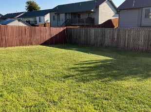 Rashanda S.'s Lawn Care service result