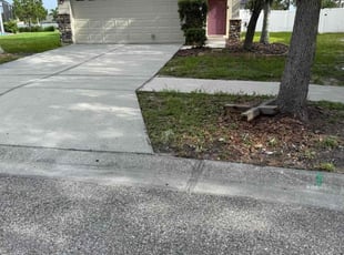 Bush Trimming by William Chavers for Cherise P. in Riverview, FL