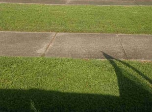 Joi B.'s Lawn Maintenance service result