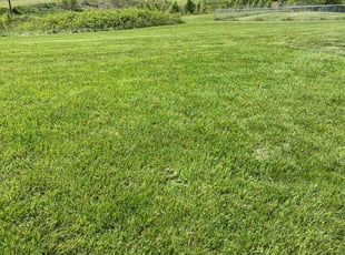 Nancy C.'s Lawn Service service result