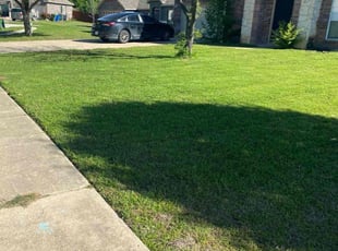 Mellaney W.'s Lawn Care service result