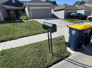 Kathryn F.'s Lawn Care service result