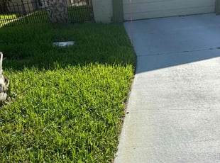 Sandra A.'s Lawn Maintenance service result