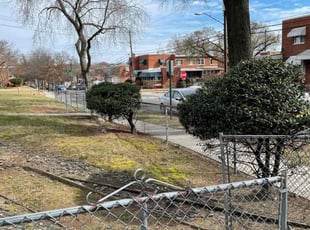 Bush Trimming by Kamonta Hackey for Wanda C. in Washington, DC