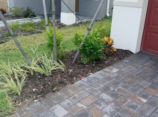 Landscaping by Kenneal Stewart for Tianna A. in Zephyrhills, FL