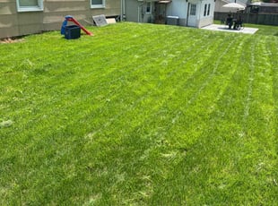 Sharif M.'s Lawn Mowing service result