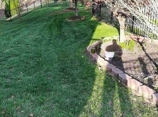 Laura G.'s Lawn Maintenance service result