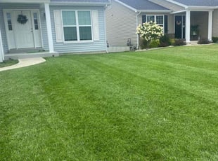 Jacob P.'s Grass Cutting service result