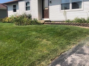Allisha C.'s Grass Cutting service result