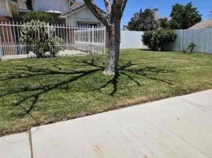 Matthew A.'s Lawn Mowing Service service result