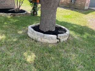 Cleanups by JosΓ© Peraza for Victoria P. in McKinney, TX