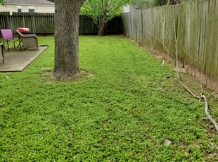 Leaf Removal by Billy Foster for Tawny B. in Sugar Land, TX
