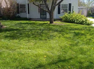 John C.'s Lawn Maintenance service result